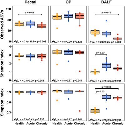 Temporal changes of the respiratory microbiota as cats transition from health to experimental acute and chronic allergic asthma